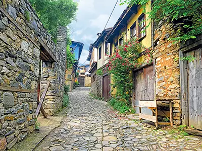 GÖLYAZI-CUMALIKIZIK-BURSA-İZNİK TURU (2 GÜN 1 GECE)