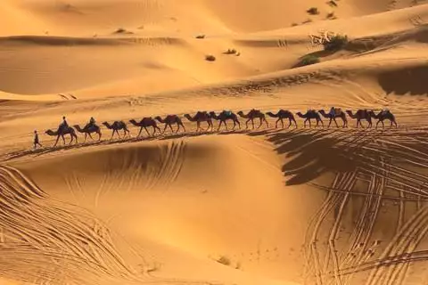 Tour Image