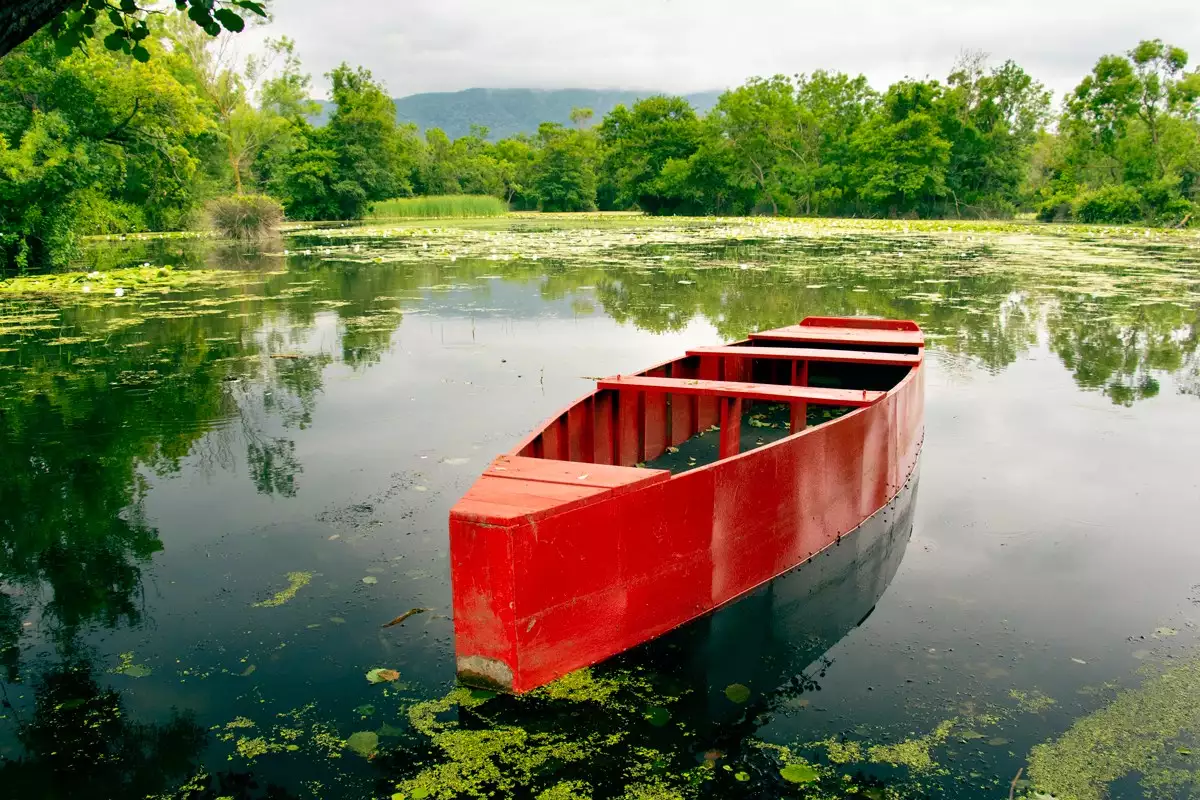 KARACABEY LONGOZU GEZİSİ